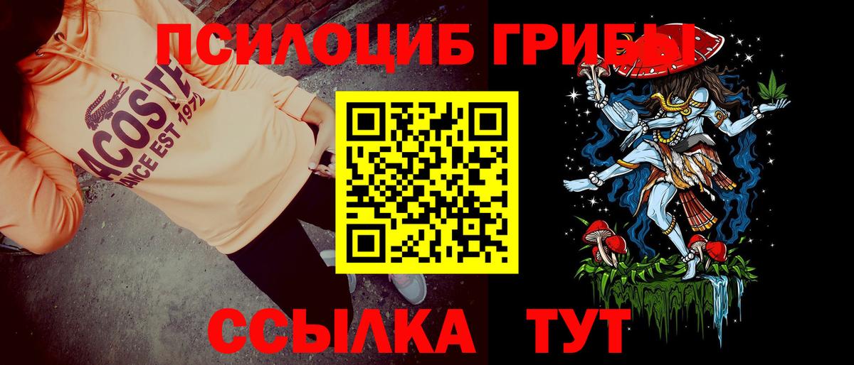 Псилоцибиновые грибы Psilocybine cubensis  Вход с VPN  Всеволожск 